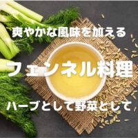 爽やかな風味を加える フェンネル料理 ハーブとして野菜として