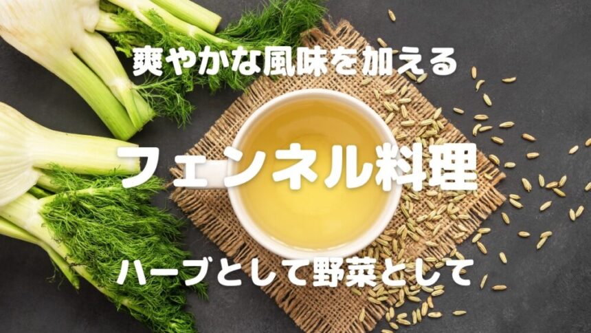 爽やかな風味を加える フェンネル料理 ハーブとして野菜として