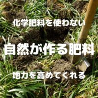 化学肥料を使わない 自然が作る肥料 地力を高めてくれる