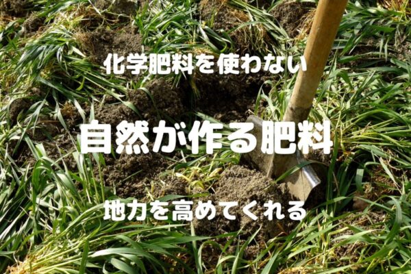 化学肥料を使わない 自然が作る肥料 地力を高めてくれる