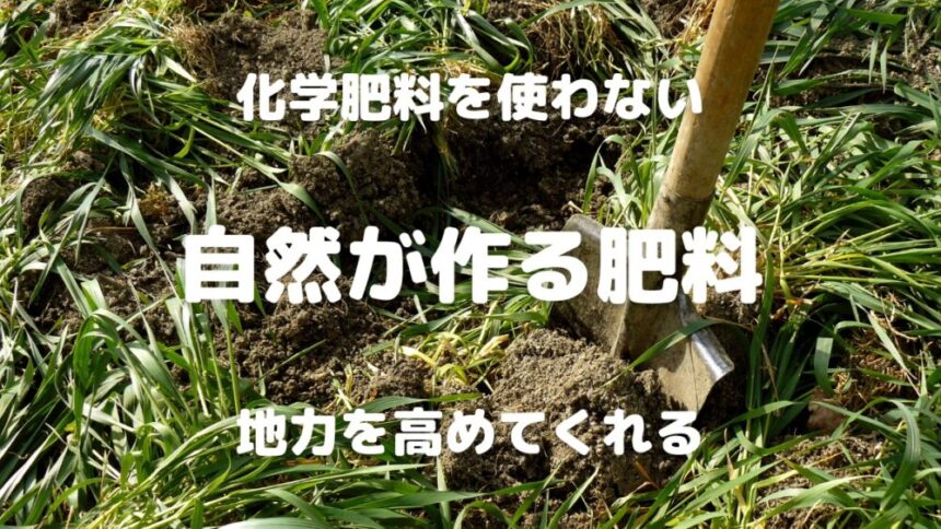 化学肥料を使わない 自然が作る肥料 地力を高めてくれる