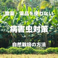 農薬・薬品を使わない 病害虫対策 自然栽培の方法