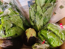 パッチファーム野菜セット