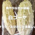爽やかな色が綺麗 白ゴーヤ サラダ・おひたしが美味しい