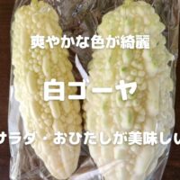 爽やかな色が綺麗 白ゴーヤ サラダ・おひたしが美味しい