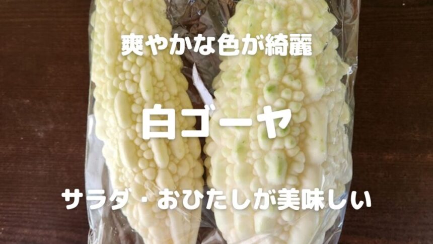 爽やかな色が綺麗 白ゴーヤ サラダ・おひたしが美味しい