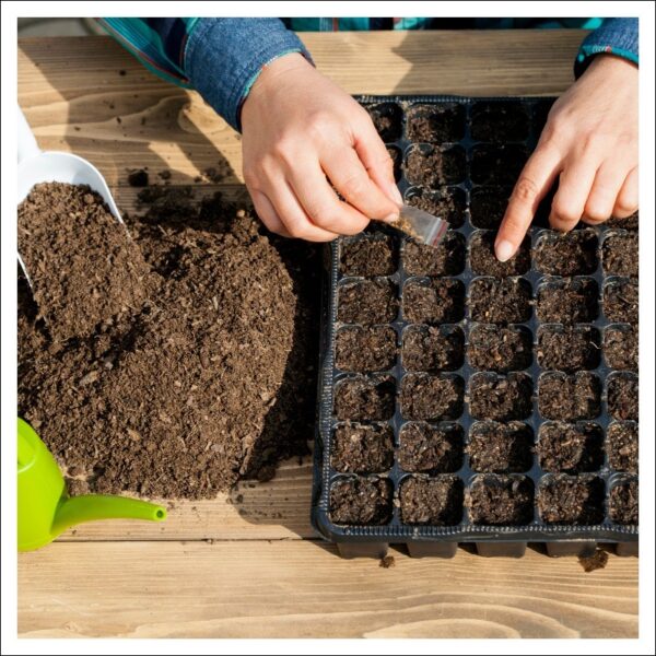 種まきトレイ