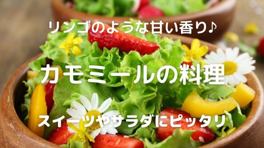 リンゴのような甘い香り♪ カモミールの料理 スイーツやサラダにピッタリ