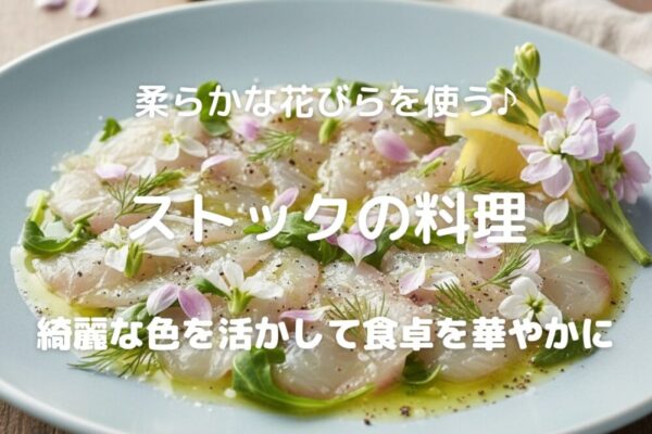 柔らかな花びらを使う♪ ストックの料理 綺麗な色を活かして食卓を華やかに