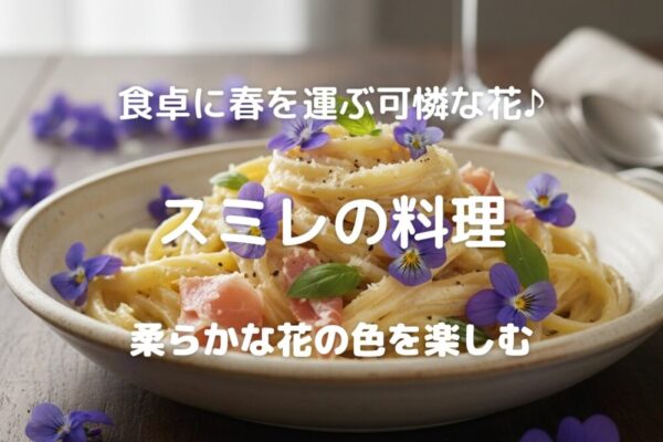 食卓に春を運ぶ可憐な花♪ スミレの料理 柔らかな花の色を楽しむ