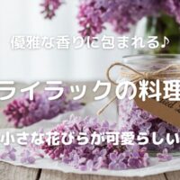 優雅な香りに包まれる♪ ライラックの料理 小さな花びらが可愛らしい
