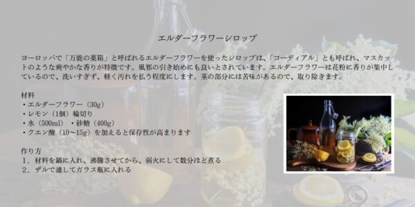 エルダーフラワーシロップレシピ