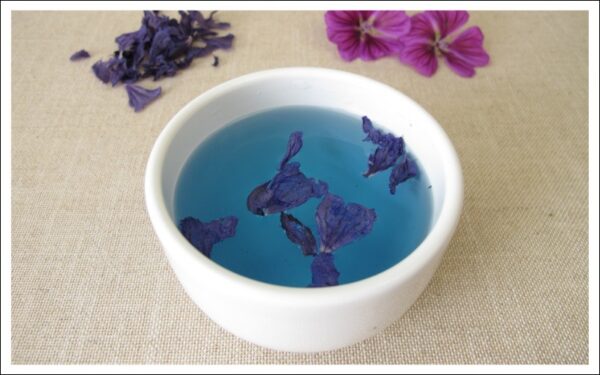 ウスベニアオイのお茶