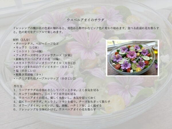 ウスベニアオイサラダのレシピ