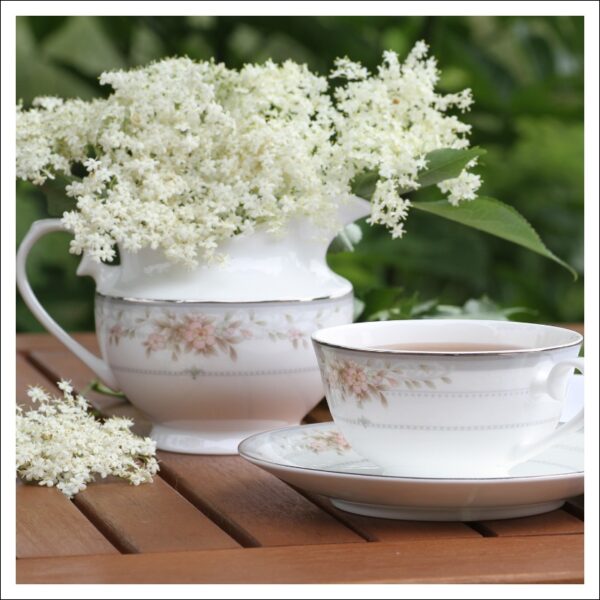 エルダーフラワー