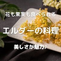 花も果実も食べられる エルダーの料理 美しさが魅力♪