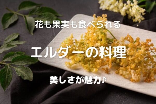 花も果実も食べられる エルダーの料理 美しさが魅力♪