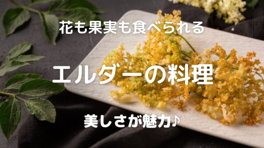 花も果実も食べられる エルダーの料理 美しさが魅力♪