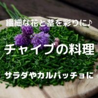 繊細な花と茎を彩りに♪ チャイブの料理 サラダやカルパッチョに