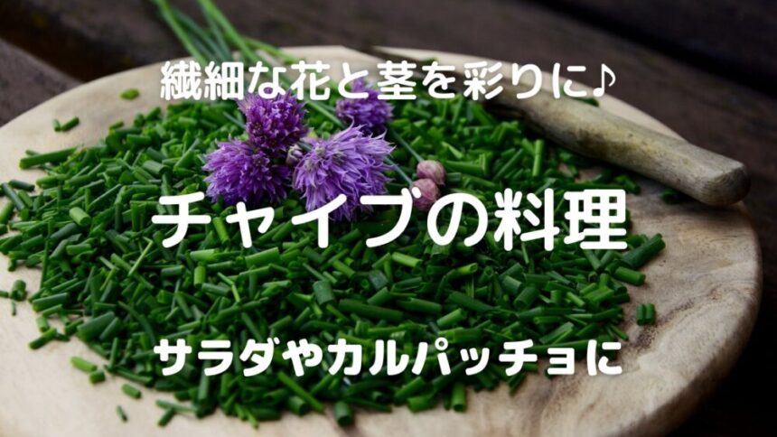 繊細な花と茎を彩りに♪ チャイブの料理 サラダやカルパッチョに